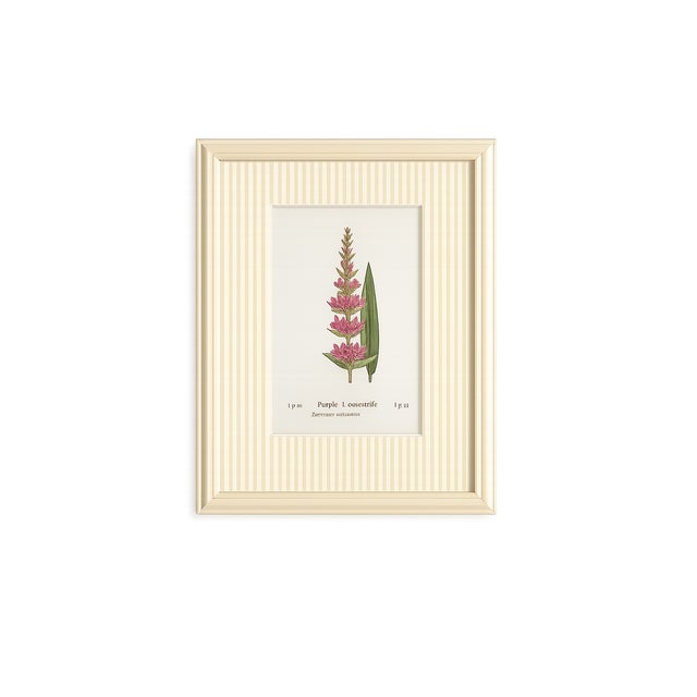 Cream Set of Twelve Antique Alpine Botanical Chromolithographs Circa 1909 in Custom Frames. For Sale - Image 8 of 15