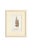 Cream Set of Twelve Antique Alpine Botanical Chromolithographs Circa 1909 in Custom Frames. For Sale - Image 8 of 15