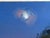Charming blue-toned nocturne oil landscape painting with a pair of horses under the moon. Loose brush strokes and rich...