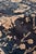 Pasargad Home Transitional Blue Area Rug, 8' 0'' X 9'10'' For Sale - Image 4 of 7