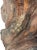 1980s Monumental Signed Wood Sculpture by Sig De Tonancour, 1984 | Organic Modern Figurative Form For Sale In Los Angeles - Image 6 of 13