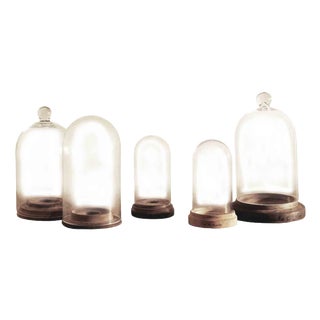 French Handblown Glass Bell Jar Display with Wooden Stand Marking Arc De Triomphe, Paris, Set of 5 For Sale