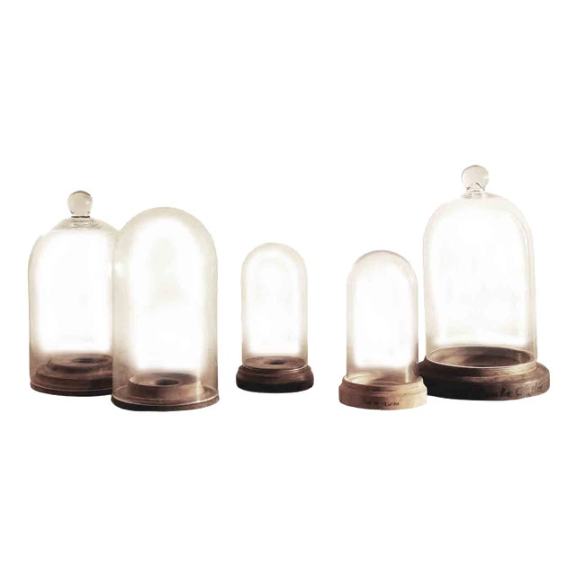 French Handblown Glass Bell Jar Display with Wooden Stand Marking Arc De Triomphe, Paris, Set of 5 For Sale
