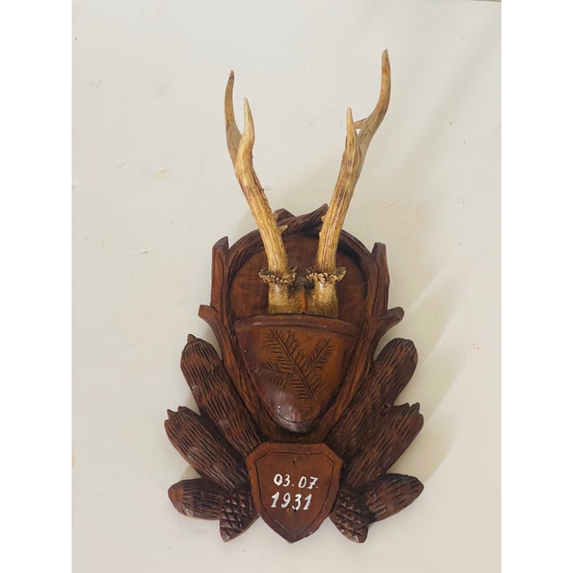 Antique Black Forest Deer Antlers Trophy mounted on a handcarved board.