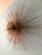 Curtis Jere Large Vintage Mid Century Modern Starburst Urchin Pom Pom Mixed Metal Abstract Brutalist Wall Sculpture by Curtis Jere For Sale - Image 4 of 5