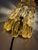 Wall Lamp in Glass and Brass by Carl Fagerlund for Orrefors For Sale - Image 10 of 11