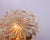 Amber Bubble Flush Mount Light in the style of Helena Tynell, Germany, 1960s For Sale - Image 3 of 9