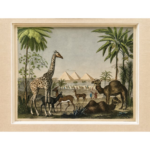 African African Safari With Giraffe, Camel & Giza Pyramids – Antique Engraving by Johann Georg Heck, 1852, Custom Framed For Sale - Image 3 of 6