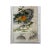 Chinese Color Ink Water Birds Fruits Scroll Painting Wall Art For Sale - Image 4 of 6