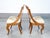 Empire Walnut Chairs, 1800s, Set of 2 For Sale - Image 16 of 18