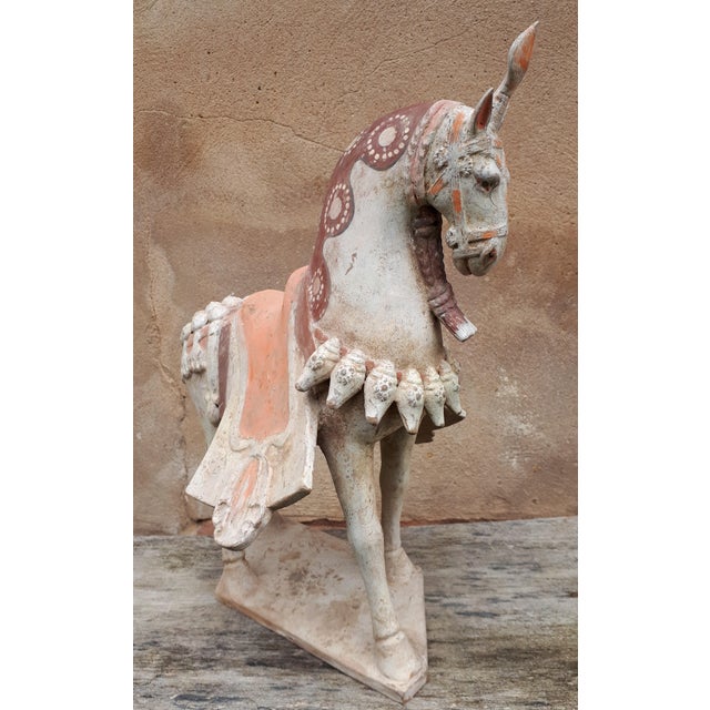 Chinese Northern Wei Dynasty Artist, Sculpture of Horse, Terracotta For Sale - Image 5 of 9