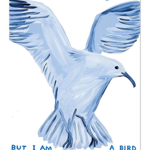 Contemporary David Shrigley I Did Not Ask to Be a Bird Lithograph Poster, 2021 For Sale - Image 3 of 6