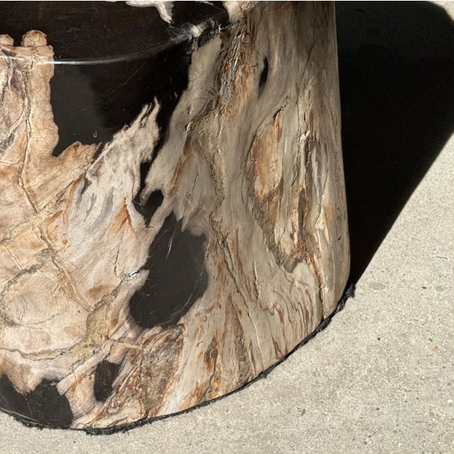 Side Table in Petrified Wood with Black Spots, 1980s For Sale - Image 18 of 18