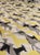 2020s Schumacher Diamond Dogs Chartreuse 173720 Designer Fabric - 36.5 Yards For Sale - Image 5 of 5