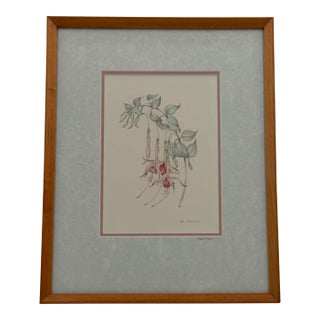 Margot Weemaes 1981 Fuchsia Botanical Portfolio Print For Sale