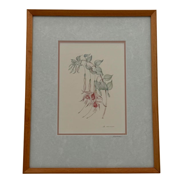 Margot Weemaes 1981 Fuchsia Botanical Portfolio Print For Sale