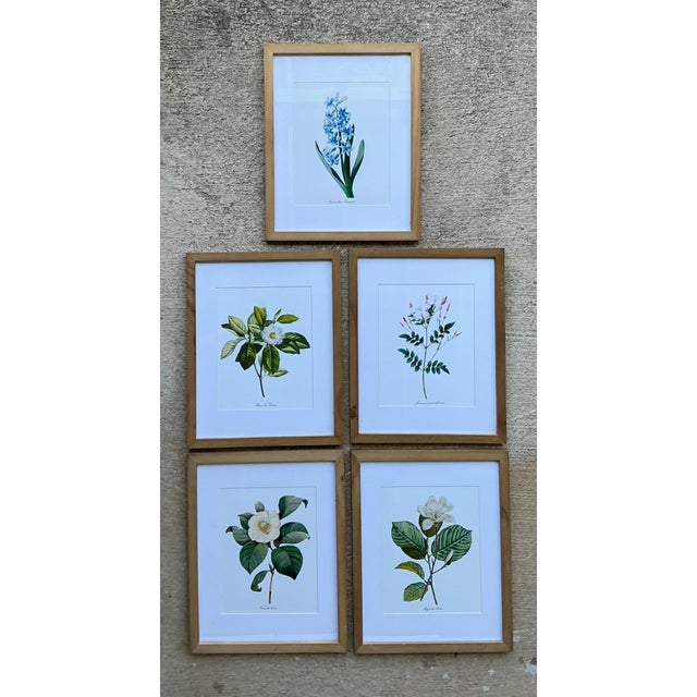 Victorian Vintage Botanical Floral Prints in Wood Frames - Set of 5 For Sale - Image 3 of 13
