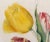 English Botanical Watercolor of Seven Tulips, Flamed and Feathered Florists' Varieties For Sale - Image 4 of 6