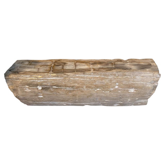 Andrianna Shamaris Rare Petrified Wood Log Bench For Sale - Image 15 of 18
