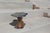 Wood Trasnfera Side Table by Alina Rotzinger For Sale - Image 7 of 9