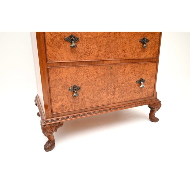 Brown Antique Burr Walnut Chest of Drawers, 1920s For Sale - Image 8 of 9