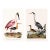 Great Heron & Roseate Spoonbill Diptych, Vintage Art Print Reproduction, 40" X 60" For Sale
