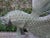 Japanese Bronze Koi Fish Sculpture For Sale - Image 9 of 12