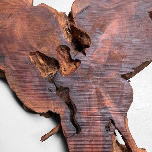 1950s Japanese Rootwood Display Slab, 1950s For Sale - Image 5 of 17