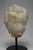 18th C or Earlier, Italian Grand Tour Marble Head of a Young Child W/ Cloche For Sale In Providence - Image 6 of 10