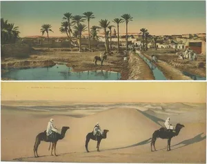 Large Vintage Panoramic Postcards of the Sahara, 1920, Set of 2