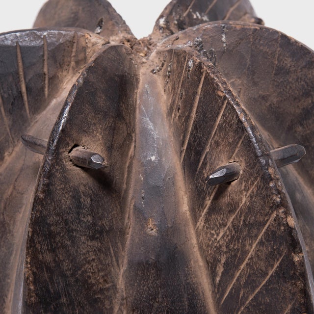 Gabonese Punu Helmet Mask, C. 1900 For Sale In Chicago - Image 6 of 8