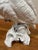 English Staffordshire Ceramic Cockatoo Signed by T.J.Jones For Sale In Miami - Image 6 of 8