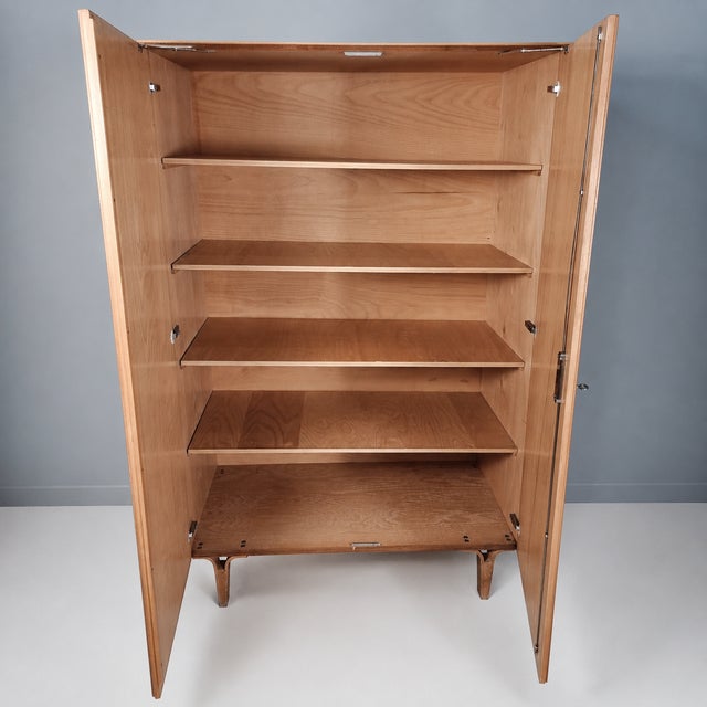 Vintage Wardrobe by Francisek Mezulanik, 1960s For Sale - Image 6 of 12