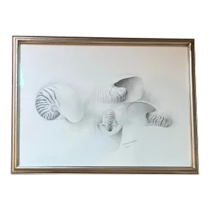 1980’s Original Beachy Seashell Pencil Drawing