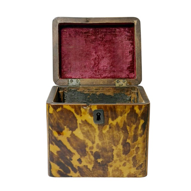 Brown Mid 19th Century Regency Faux Tortoiseshell Box With Sterling Silver Details For Sale - Image 8 of 11