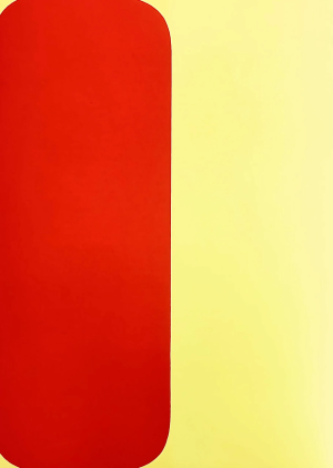 1964 Ellsworth Kelly Original Lithograph Derriere Le Miroir Dm05149