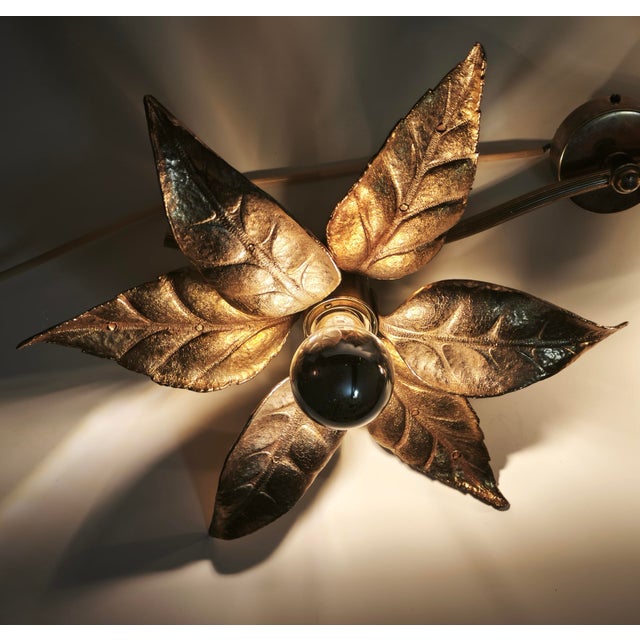 Vintage Brass Flower Wall Lamp by Willy Daro for Massive, Belgium, 1970s For Sale - Image 12 of 18