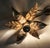 Vintage Brass Flower Wall Lamp by Willy Daro for Massive, Belgium, 1970s For Sale - Image 12 of 18