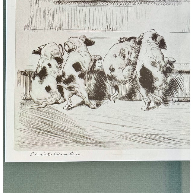 1930s Diana Thorne "Social Climbers" Signed Dog Etching, Framed, Circa 1935 For Sale - Image 5 of 9