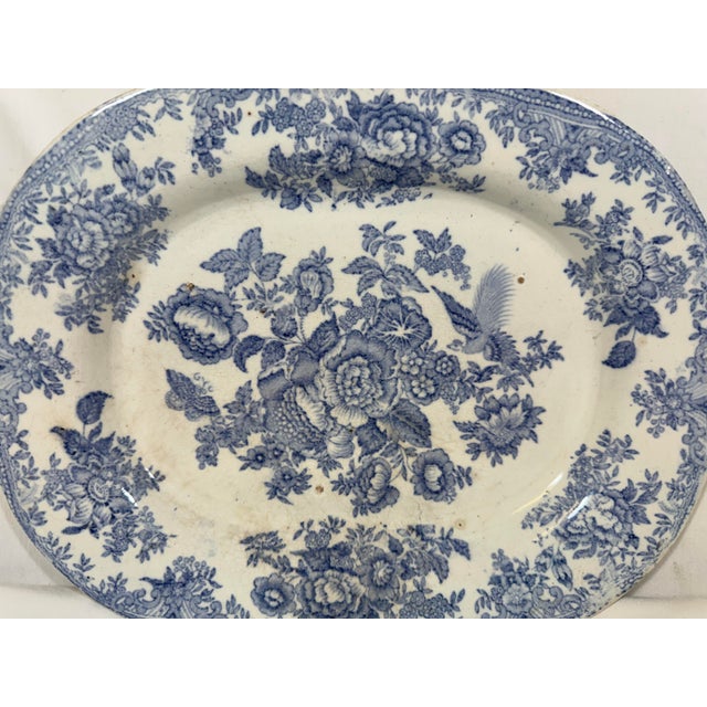 Antique 19th Century Light Blue Asiatic Pheasants Transfer-Ware Serving Platter From England - Circa 1880 For Sale - Image 12 of 12