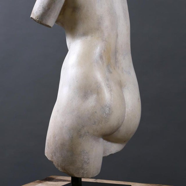 Bust of Venus the Goddess of Love, 20th Century, Composite Material For Sale - Image 3 of 6