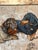 Plat. Victor, Dachshunds, 1960s, Oil on Canvas, Framed For Sale - Image 18 of 18