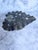 Metal 20th Century Dazey Flower Flog Insert For Sale - Image 7 of 12