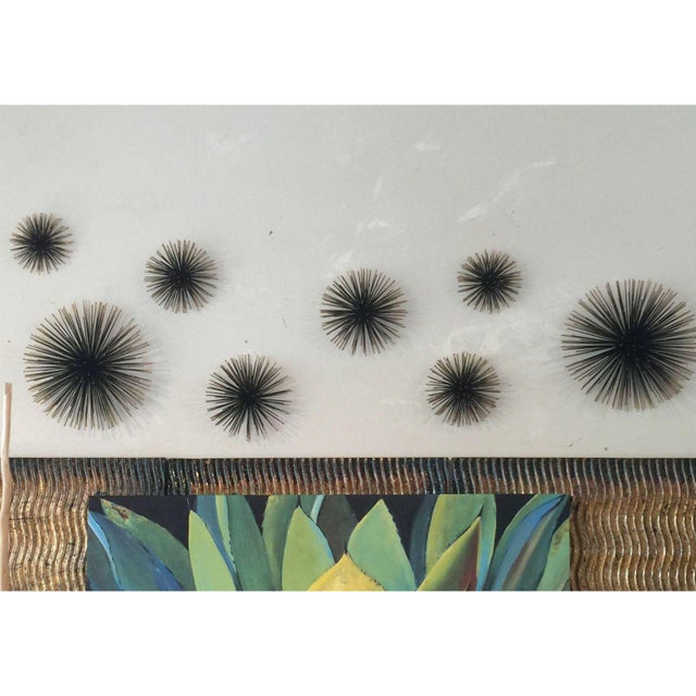 10" Sea Urchins Wall Decor Set of 3 Chairish