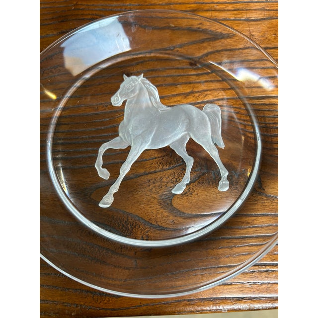 Clear Glass Back Relief Carved Horse Round Display Disc For Sale In San Francisco - Image 6 of 13