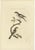 Early 19th Century Sepp & Nozeman, Bird Illustration of the Woodchat Shrike, 1829, Print For Sale - Image 5 of 5