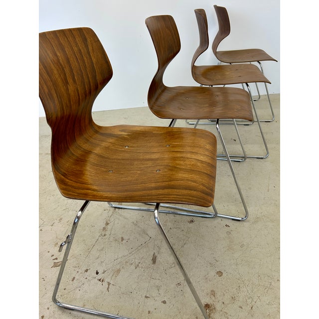 Pagholz Vintage Pagwood Bentwood Stackable Dining Chairs + Tubular Chrome by Elmar Flototto | Set of 4 For Sale - Image 4 of 12