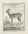 The Roe Deer is an etching made by Jean Charles Baquoy in 1771. The artwork Belongs to the suite "Natural, general and...