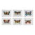 Set of 6 - One-of-a-Kind Unframed Original Butterflies Oil Paintings, Unique Pieces For Sale