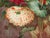 Derby Porcelain English Porcelain Botanical Plaque of Double Poppies, Attributed to Derby, Circa 1825 For Sale - Image 4 of 9